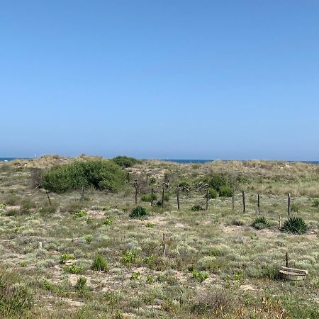 Mon Petit Paradis, Vue Sur Dunes Et Mer, Acces Direct Plage Robinson, Terrasse, Parking Prive, Tres Ressourcant, A Marseillan Plage Экстерьер фото
