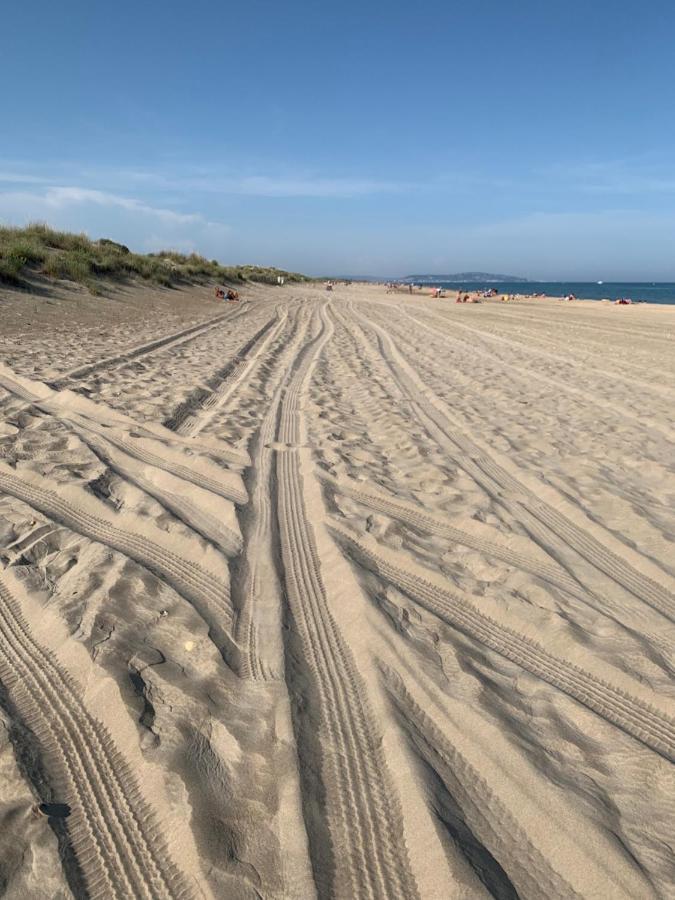 Mon Petit Paradis, Vue Sur Dunes Et Mer, Acces Direct Plage Robinson, Terrasse, Parking Prive, Tres Ressourcant, A Marseillan Plage Экстерьер фото